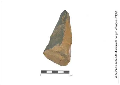 Le Paléolithique est connu pour être un âge de pierre ; mais de quel type de pierre ?