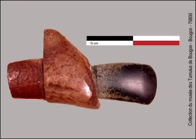 Il s'agit d'un ensemble de hache polie-gaine ; savez-vous quel bois a été utilisé pour réaliser la gaine ?