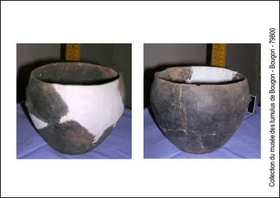 Un seul de ces pays est un foyer d'invention de la poterie qui a révolutionné le Néolithique. Quel est ce pays ?