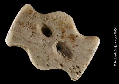 Quel est le nom que l'on donne à cette forme de bouton ?