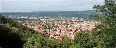 Quelle ville du Tarn connaît une renommée mondiale grâce au "délainage" jusqu'aux années 1960 ?