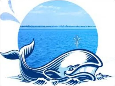 Que commercialise la marque La Baleine ?