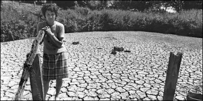 En France, en quelle année a eu lieu une grande sécheresse à cause d'une forte canicule ?