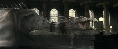 Le dragon qui garde les coffres de la banque Gringotts dans l'univers de "Harry Potter" est un...