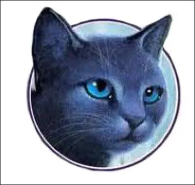 Dans le cycle 1 comment meurt Étoile Bleue ?