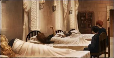 Qui a dit "La question n'est pas de savoir qui, mais de savoir comment..." ?