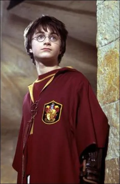 Qui a dit "Potter, il vaut mieux que vous veniez avec moi" ?
