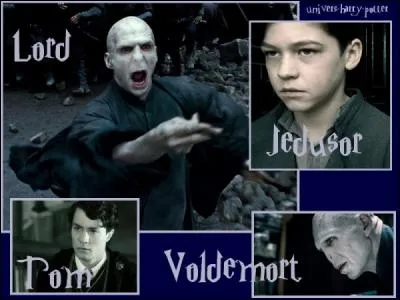 Qui a dit "On pouvait librement prononcer le nom du Seigneur des Ténèbres avant que ce nom change" ?