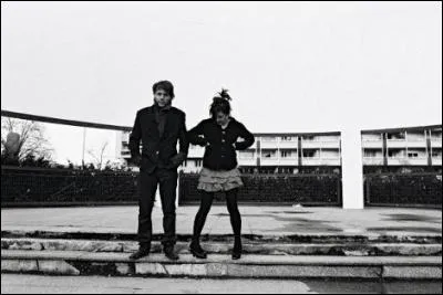 Lequel de ces groupes a un album nommé "La Chute" ?