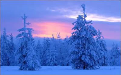 Quel est l'endroit d'Europe où en été le soleil est présent 24 heures sur 24 ?