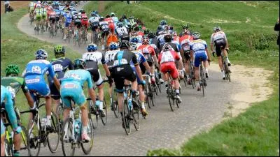 Il s'appelle "le géant des Flandres", il se rencontre en Belgique. De quoi s'agit-il ?