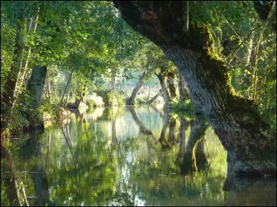 Le Lay est la réunion du Grand Lay et du Petit Lay, qui se réunissent à Chantonnay. Quel marais traverse-t-il avant de se jeter dans la baie de l'Aiguillon ?