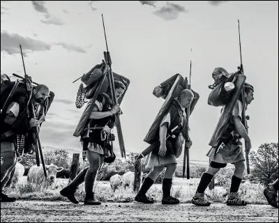 En combien de manipules chaque cohorte est-elle divisée ?