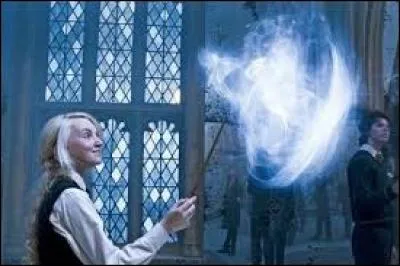 Quel est le sort, parmi ceux dans la liste, qui n'est pas enseigné par Harry Potter ?