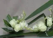Quiz Muguet