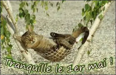 Avec quoi la journée du 1er mai se confond-elle ?