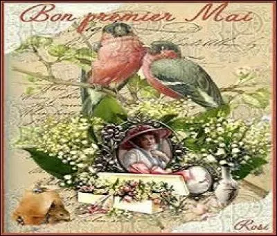 Nathan Korb chante l'éclat d'un sourire revenu pour le temps du muguet. Qui est cet artiste ?