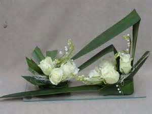 Quiz Plantes