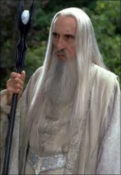 Né le 27 mai 1922, cet acteur britannique nous a quitté le 7 juin 2015 à l'âge de 93 ans. Si je vous dis Dracula, L'Homme au pistolet d'or, Saroumane et le comte Dooku, à qui pensez-vous ?