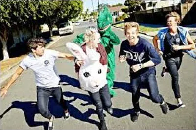 Quelle est la première vidéo qu'ils ont sortie ?