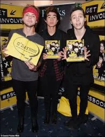 Comment s'appelle leur livre officiel ?