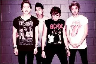 Parmi ces groupes, lequel les a influencés ?