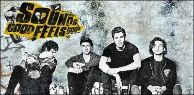 Comment s'appelait la tournée 2014 ?