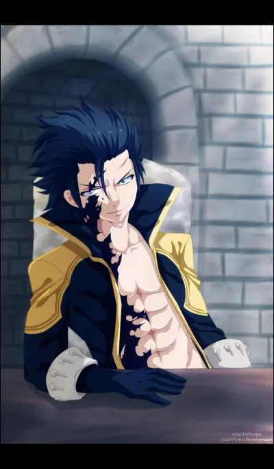 Quelle guilde Grey a-t-il rejoint après Fairy Tail ?