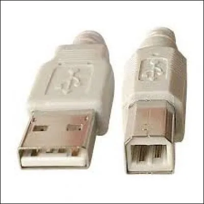 Quel est le nom de cette connectique ?