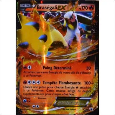 Quel est ce Pokémon ?