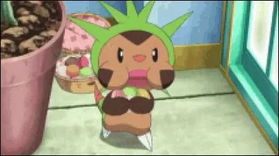Quel est ce Pokémon ?