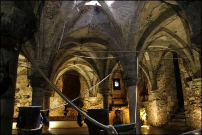 Quels animaux se trouvent dans la crypte ?