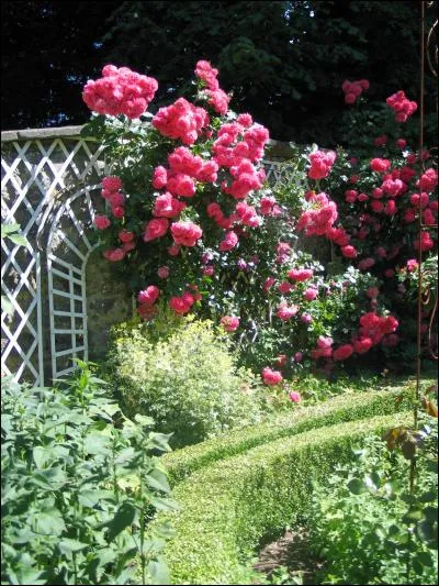 Que peut-on trouver dans "L'ancien cimetière des moines" ?