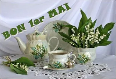 Vous disposez une théière, une tasse et sa sous-tasse, un pot à fleurs, une assiette, un ------ pour un moment parfaitement détendu et de pur raffinement.