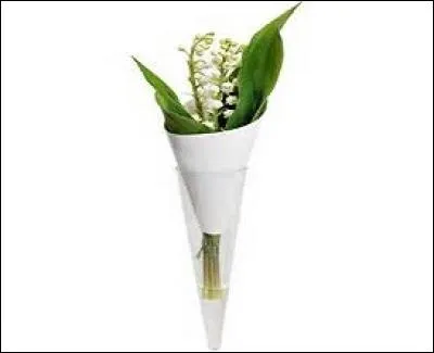 Modeste mais non moins symbolique. Dans quoi est disposé ce simple bouquet pour une harmonie de vert et de blanc ?