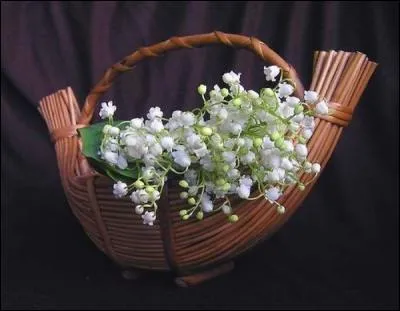 Quelle forme prend cette composition ?