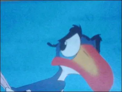 Quel lion ferait, selon Zazu, une très belle carpette ?