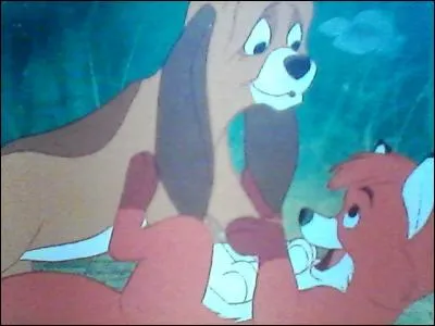 De qui Rox tombe-t-il amoureux ?