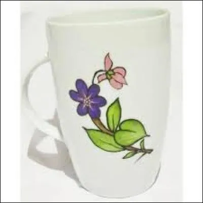 Flûte du Proche-Orient :