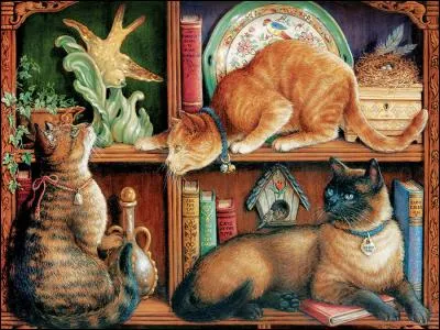 Combien de livres rouges comptes-tu sur cette photo ?