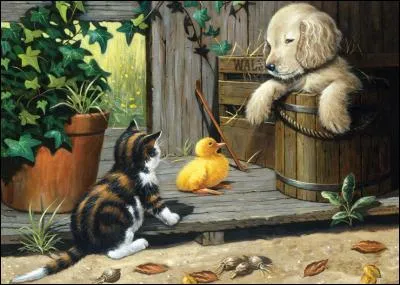 Combien de feuilles rousses sont tombées sur le sol ?