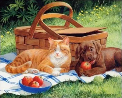 Où est la balle de tennis ?