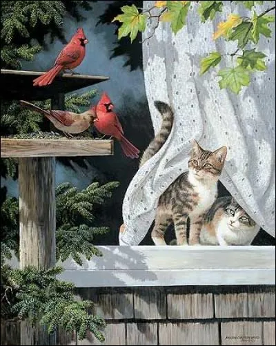 Où sont les deux chats ?