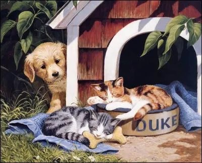 Qui s'appelle Duke ?