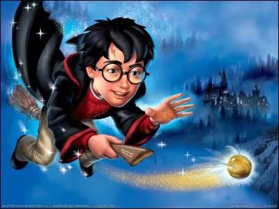 Quel est le seul attrapeur qui a battu Harry au quidditch ?