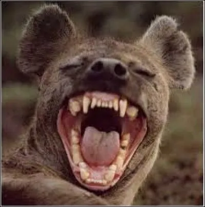 Cette expression familière traduit le fait d'être exténué, surmené ou même très anxieux. Laquelle est-ce ?