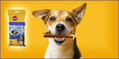 Produite par la société Pedigree, cette friandise sous forme de bâtonnet est destinée à combattre le tartre sur la dentition de nos compagnons à quatre pattes. Cela s'appelle :