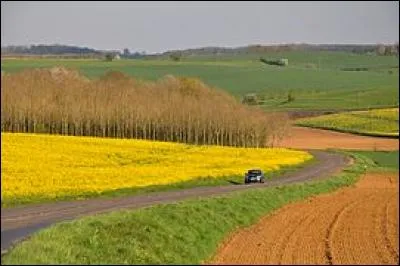 La ville de Sedan - numéro de département 08 selon l'INSEE - un département faiblement peuplé dans l'ensemble - la métallurgie a toujours été présente