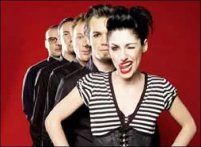 Lequel de ces groupes nous a chanté "Ça mousse" ?