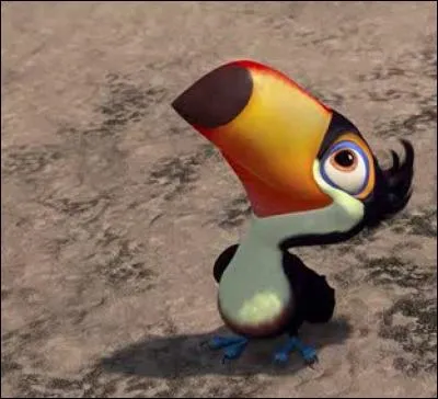 Quand il veut boire, le toucan :